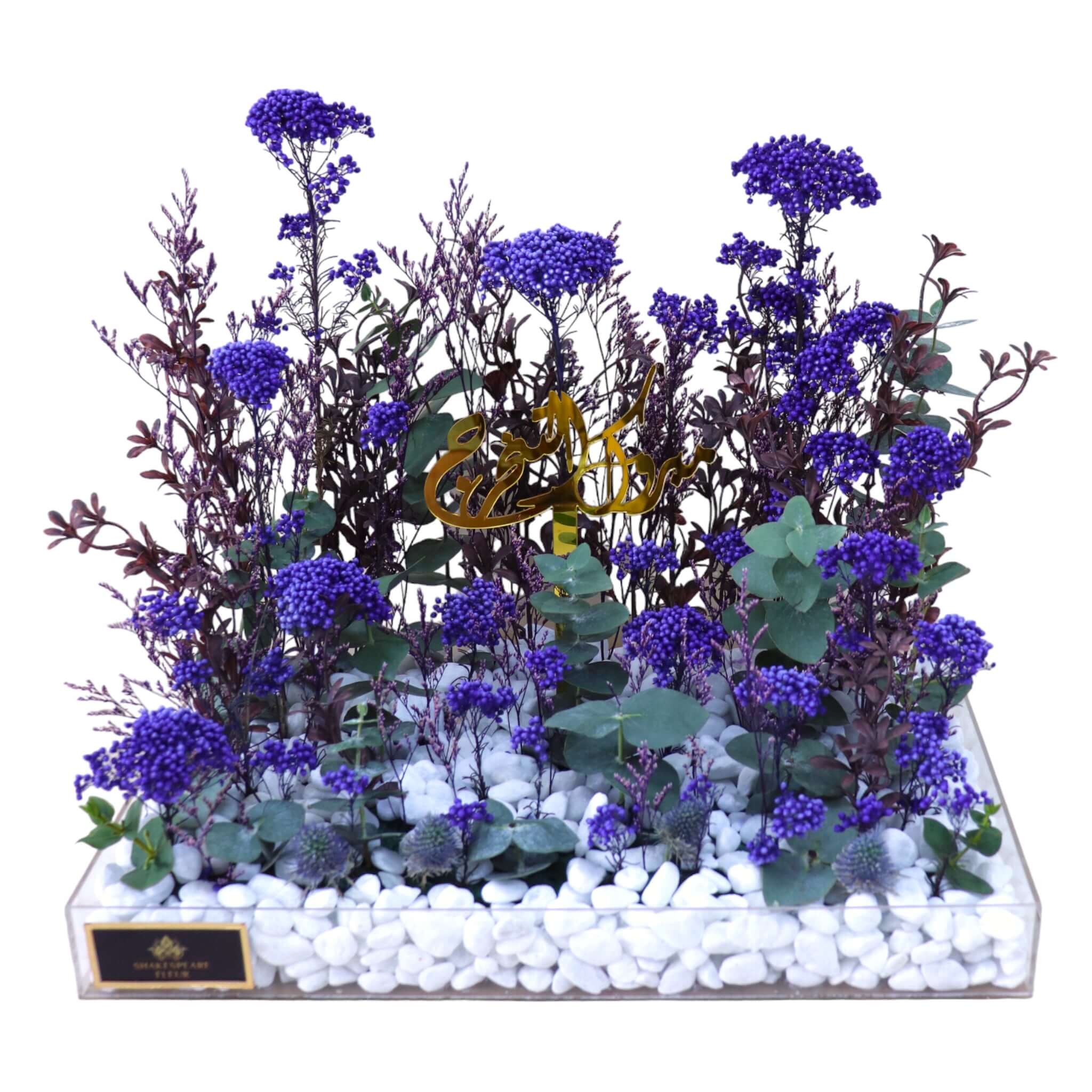 BLUE DESIGN 531