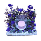 BLUE CEDUM DESIGN 499