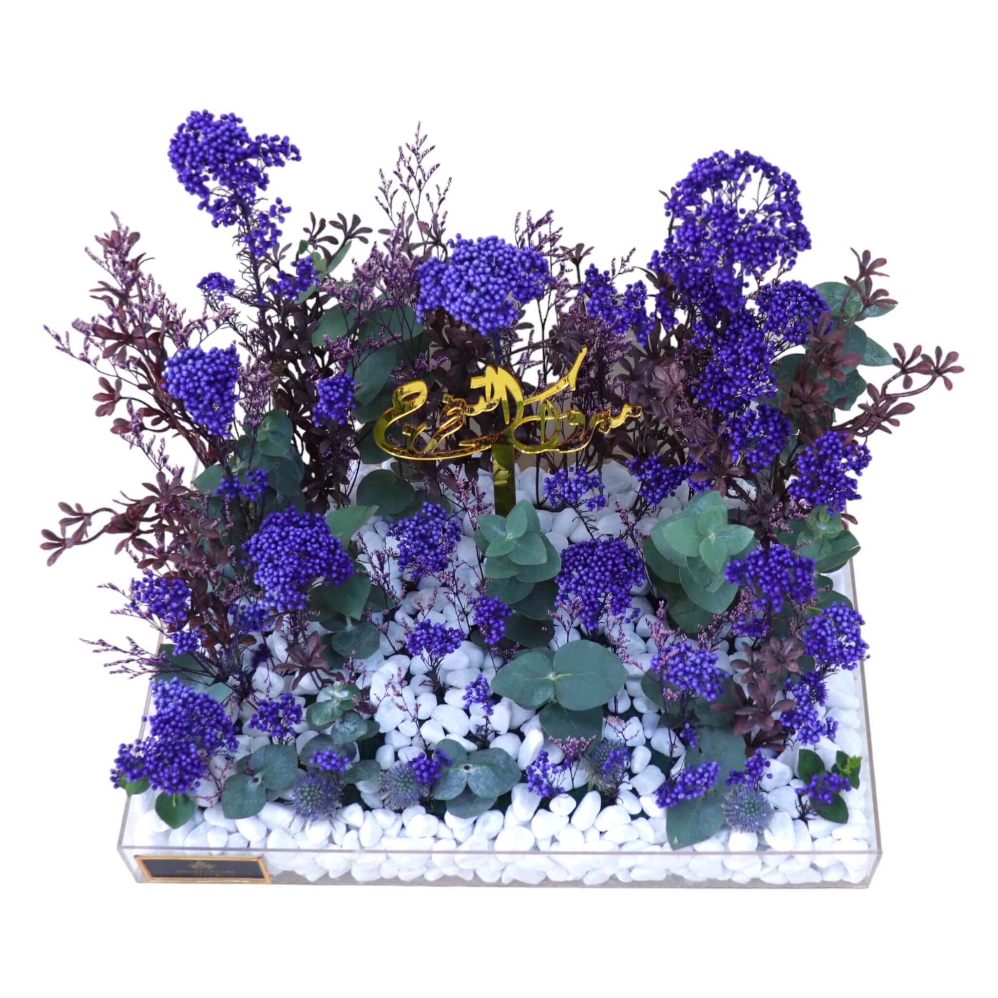 BLUE DESIGN 531