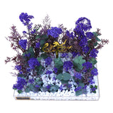 BLUE DESIGN 531