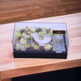 money box white