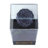 Infinity Black Rose Single