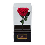 Infinity Dark Pink Rose Single