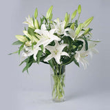 10 White Casablanca Lilies in Glass Vase