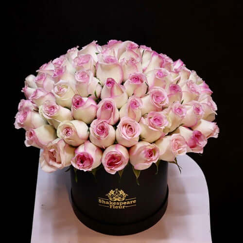 Box of Pink Double Shaded Roses