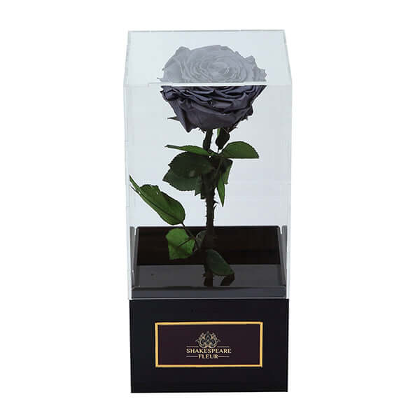 Infinity Black Rose Single