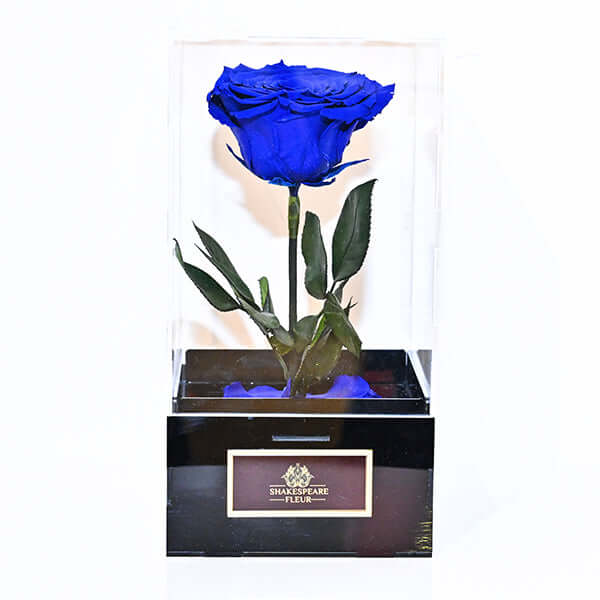 Infinity Blue Rose Single