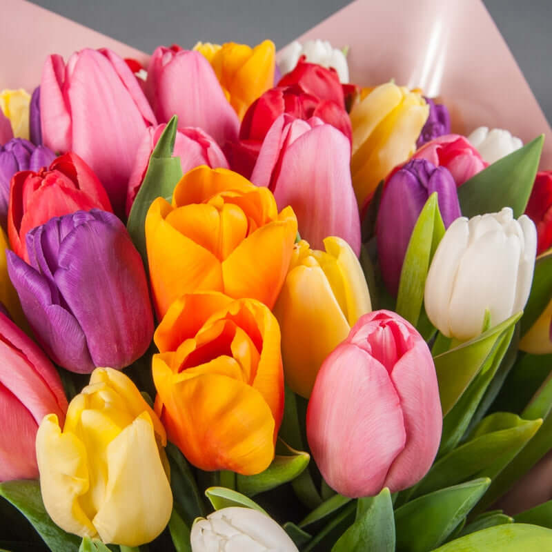 Mixed Tulips Bouquet