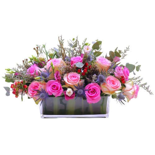 حديقة ساحرة 